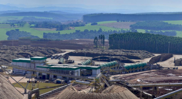 Застосування ножових засувок Orbinox ET у паперовій промисловості: мийка деревини